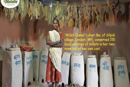 WhatsApp Image 2026-03-15 at 8.15.14 PM WhatsApp Image 2026-03-15 at 8.15.14 PM